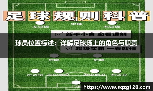 星空综合股份(中国)