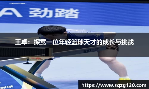 星空综合股份(中国)